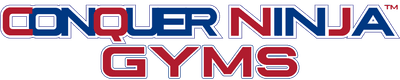 Conquer Ninja Gyms